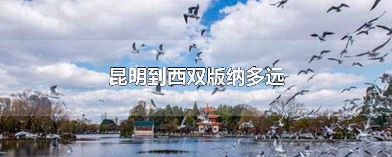 昆明到西双版纳多远(昆明到西双版纳大约541)