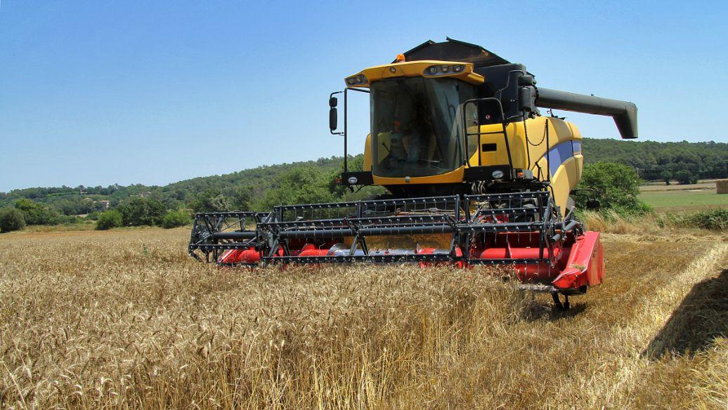 中国伟人有哪些人(中国有哪些伟人)