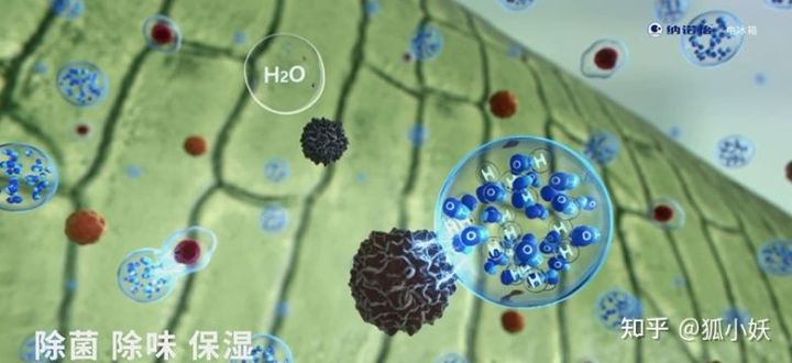 超低温冰箱什么牌子好（超高性价比冰箱选购攻略）