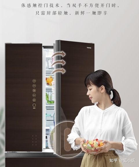 超低温冰箱什么牌子好（超高性价比冰箱选购攻略）