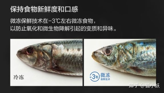 超低温冰箱什么牌子好（超高性价比冰箱选购攻略）