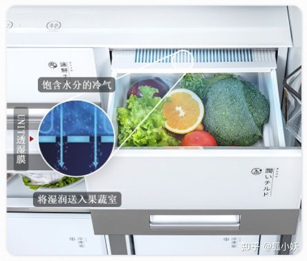 超低温冰箱什么牌子好（超高性价比冰箱选购攻略）