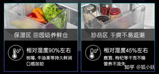 超低温冰箱什么牌子好（超高性价比冰箱选购攻略）