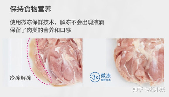 超低温冰箱什么牌子好（超高性价比冰箱选购攻略）