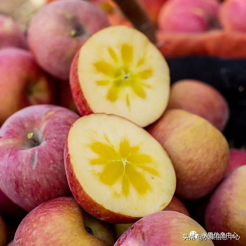 白色的苹果是什么品种（图文讲解苹果的品种大全）