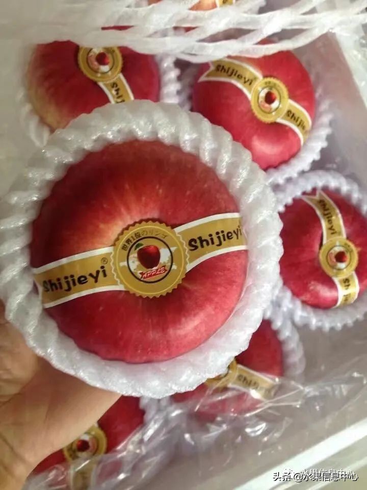 白色的苹果是什么品种（图文讲解苹果的品种大全）