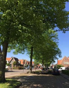 ​荷兰进口奶粉哪个品牌最好(荷兰什么牌子的奶粉比较好)