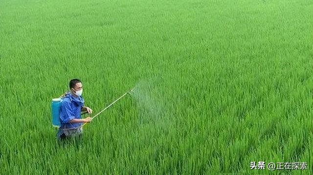 服毒自尽的人有多痛苦(服毒自杀到底有多可怕)(10)