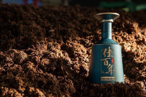 互联网时代的白酒