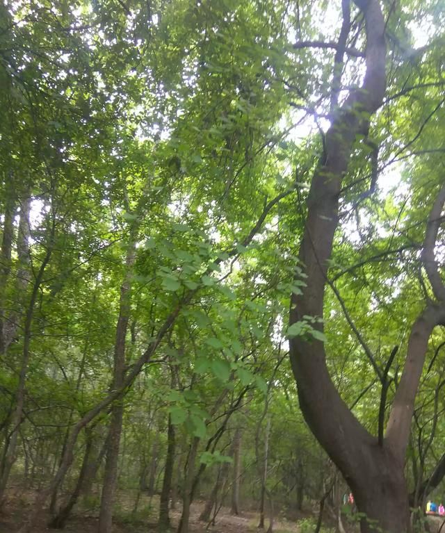 孟婆汤奈何桥的故事,类似于孟婆汤奈何桥的故事?图3