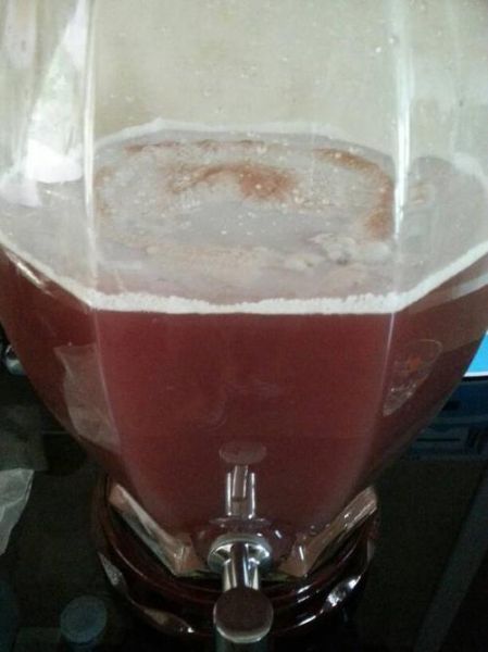 自酿的葡萄酒白色薄膜