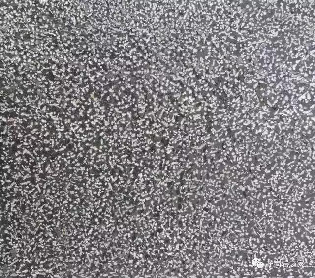 花岗岩的种类及配图大全(国内黑色花岗岩品种)(15)