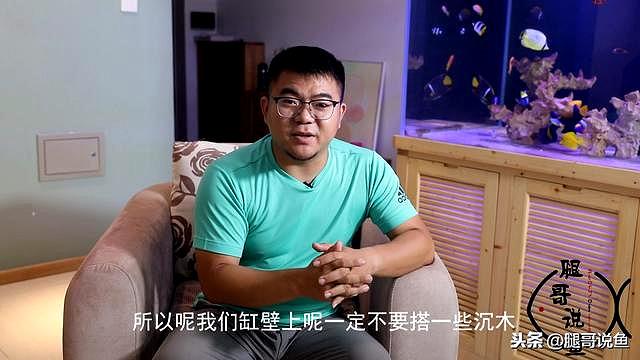 迷你小恶魔蟹如何养（迷你小螃蟹辣椒蟹很难养活）(12)