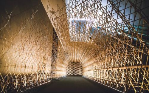 森林公园作文400字(茂名森林公园作文)-第1张图片-