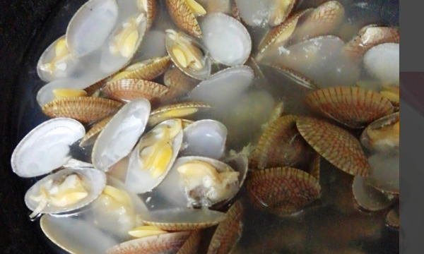 花甲怎么做好吃又简单,花甲怎么做好吃的家常做法图4