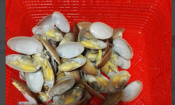 花甲怎么做好吃又简单,花甲怎么做好吃的家常做法图5