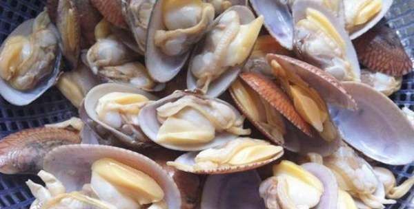 花甲怎么做好吃又简单,花甲怎么做好吃的家常做法图10