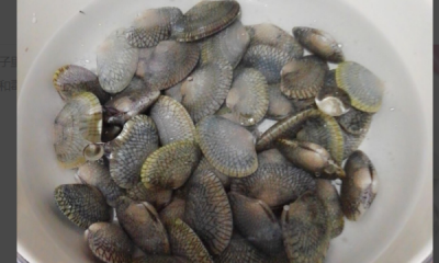 ​花甲怎么做好吃又简单,花甲怎么做好吃的家常做法