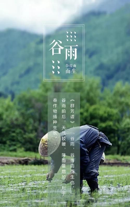 谷雨时节的古诗