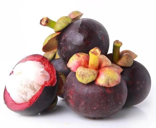 各种水果花的特点(新奇特)(29)