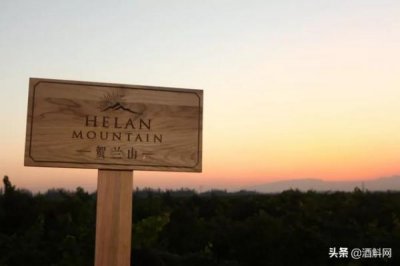 ​森淼酒庄 什么酒好喝？森淼酒庄的葡萄酒