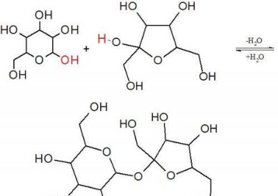 ​麦芽糖有醛基,蔗糖和麦芽糖有什么关系