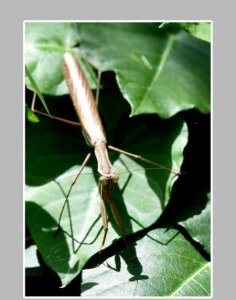 ​男人不坏女人不爱是真的吗(不喜欢男人的女人什么心理)