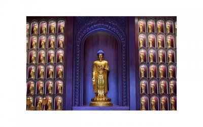 ​为什么说贝瓦儿歌的十二星座之歌是宝宝的智慧宝库？