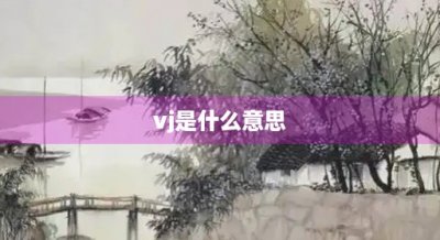 ​vj是什么意思(担当vj是什么意思)