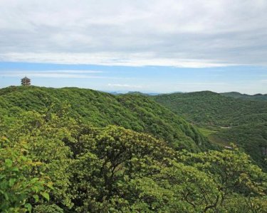 ​重庆金佛山自驾旅游攻略(重庆金佛山景区一日游)