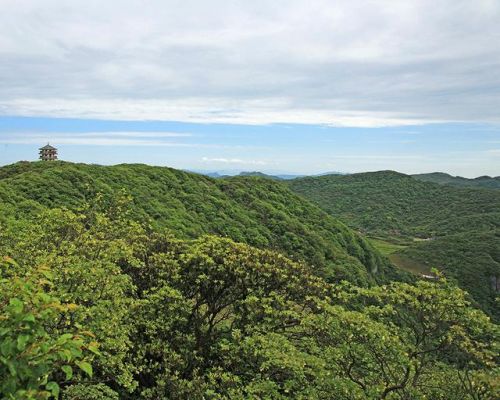 重庆金佛山自驾旅游攻略(重庆金佛山景区一日游)-第1张图片-