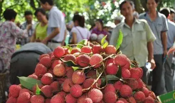 东莞春节习俗,广东春节的风俗有哪些作文图6