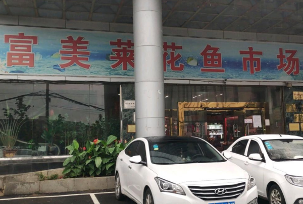 斗南鲜花批发市场在哪里,附近花卉市场批发市场在哪里图6