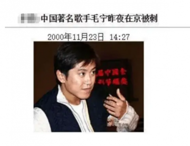 ​被刺深陷同性传闻，吸毒被捕成反面教材，不老男神毛宁经历了什么