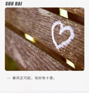 ​第三者骚扰家庭怎么办（面对第三者破坏家庭）