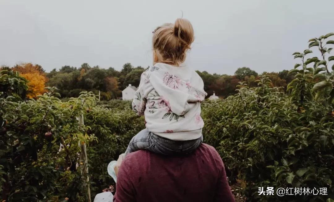 单亲和离异不同吗(离婚算不算单亲家庭)