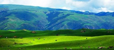 ​中国四大草原，查找关于老舍的资料。老舍原名叫什么？他的名著是什么？将老舍