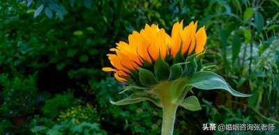 ​和小三断不了（伴侣出轨后还和小三断不掉）