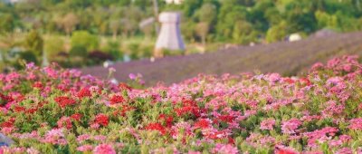 ​六月最佳旅行地推荐，用一场旅行来开启六月的美好时光吧~