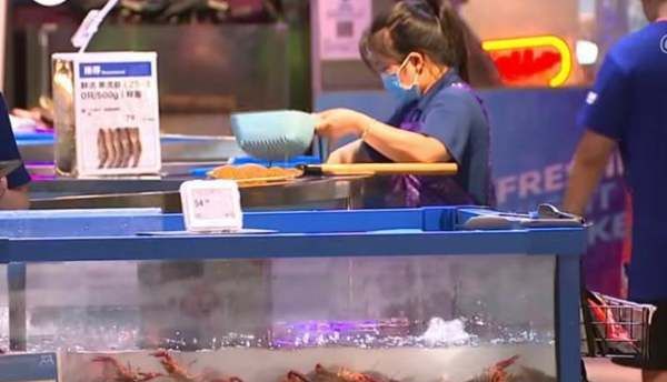 帝王蟹壳软怎么回事,帝王蟹壳软了是不是不新鲜了图6