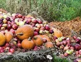 4、不小心弄坏粮食要及时维修