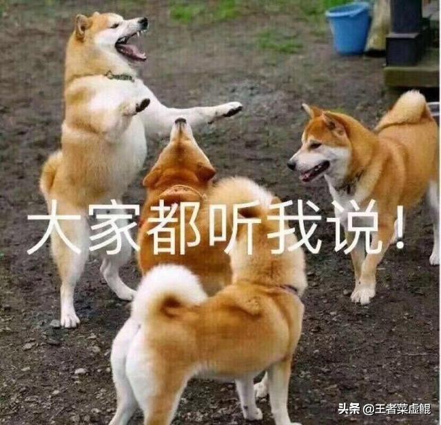 四载之约，剑网三：指尖江湖6月12日不删档公测，你震撼到了吗