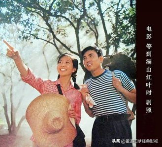 ​怀旧经典影视 第 6 部《等到满山红叶时》