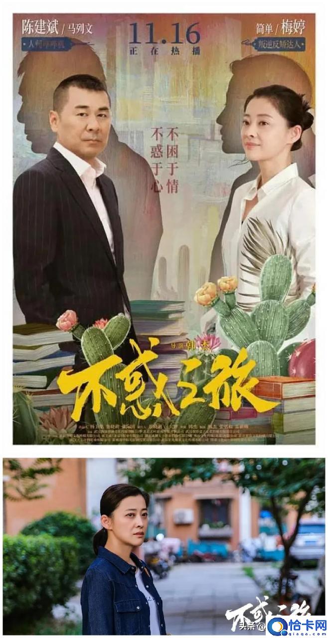 梅婷演的电视剧有哪些(黄渤梅婷热播的电视剧叫什么)