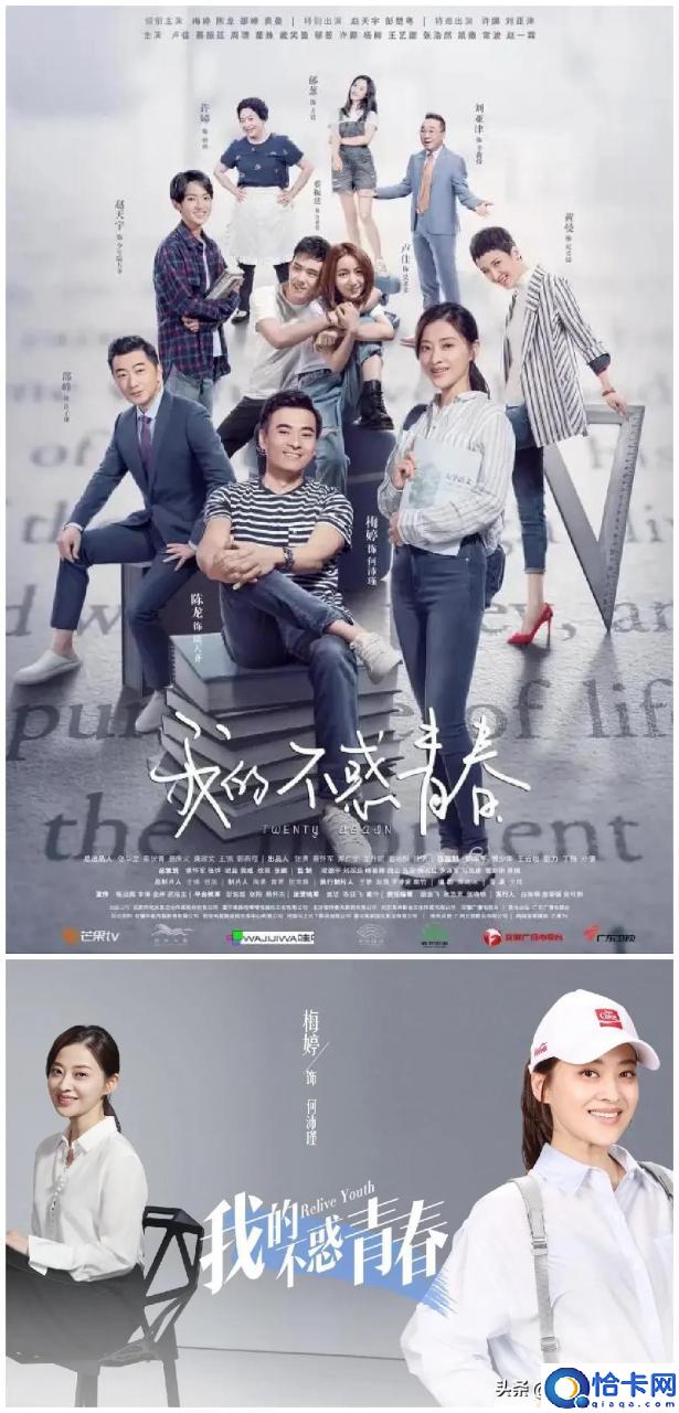 梅婷演的电视剧有哪些(黄渤梅婷热播的电视剧叫什么)