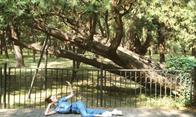 《天坛》群星荟萃，“古树保护”成主题，戚薇“模仿秀”最优雅