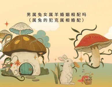 ​男属兔女属羊婚姻相配吗（属兔的犯克属相婚配）