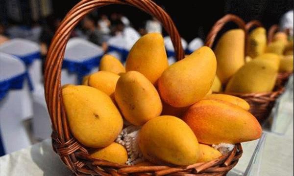 芒果可以放冰箱保鲜吗