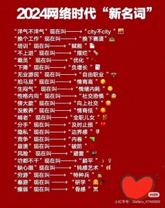 ​盘点2024 网络时代“新名词”