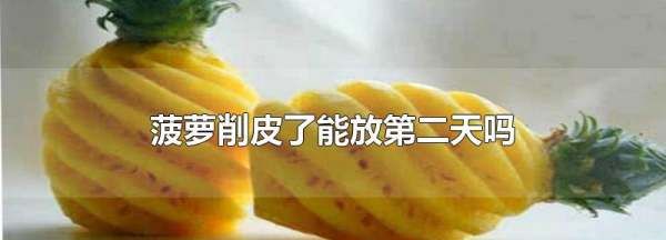 削好的菠萝可以放冰箱隔夜,削好的菠萝可以放到第二天吗图3